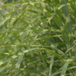 55yoku54ezbi3m6xvxctqznhgq877299