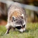 o7ydb53dtrgq3hqsscpw7bmtxu609320