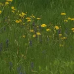 puuxa3kziffw5b7axofgodjyey358924