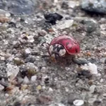 qw67r2wddjgwle6haf6ga2conq41834