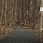 gnbutrgfkndifng6fc23dkjqzu868303