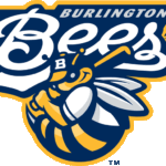 burloington_bees