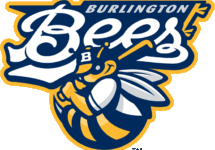burloington_bees