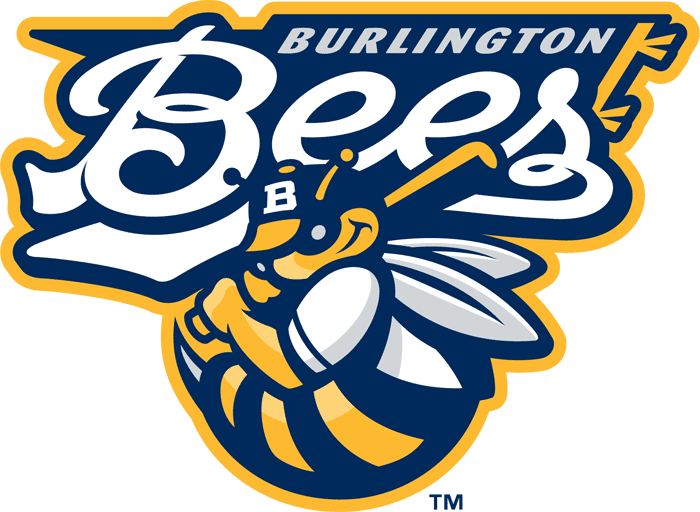 burloington_bees