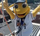 ivertheedgebees-2