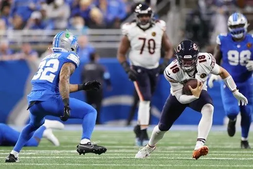 bearsweek2