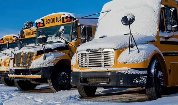 snowy-buses