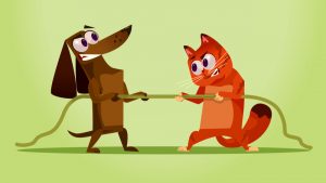 catdog