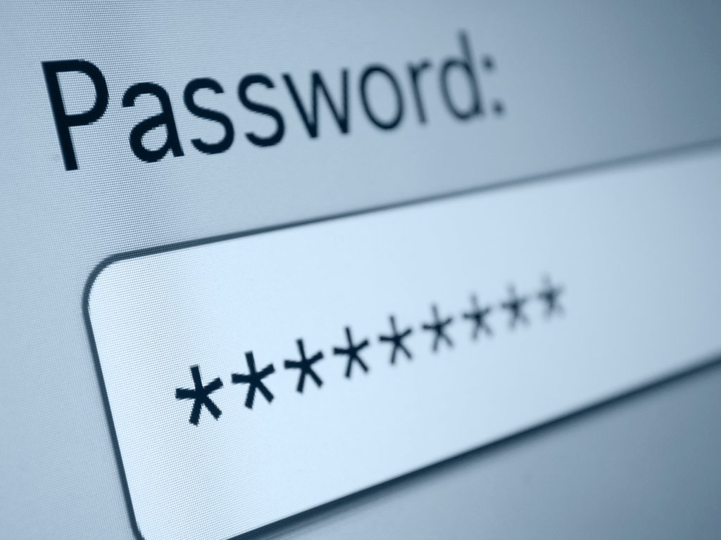 password-input