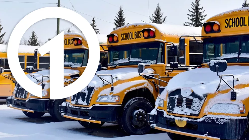 school buses in snow