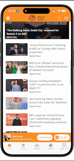 post-view-ads-font-size