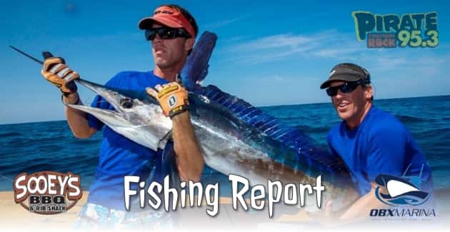 Outer Banks Fishing Report - July 31