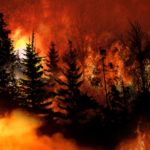 tmp6214204c-d448-49bc-ac8c-3058f62bcfd1-jpg