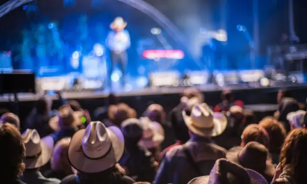 Audience at the Huercasa Country Festival 2017 in Riaza^ Segovia^ Spain^ enjoying live country music performances with a festive atmosphere.