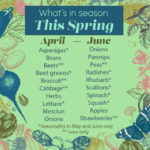 gma_springproduceembed_1649379378405_hpembed_1x1_99228129-150x150-1-2