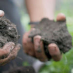 green-new-future-soil-replenishment-farming-soildetail-03-abc-llr-211116_1637096825827_hpembed_16x9_99228129-150x150-1-2