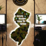 getty_042122_njdispensary-150x150-1-2