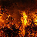 getty_22322_wildfire-150x150-1-2