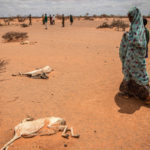 somalia-draught-02-gty-iwb-220719_1658234018163_hpembed-150x150-1-2