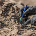 gettyrf_9822_archeologistskeleton-150x150-1-2