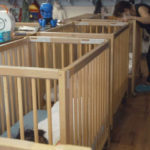 child-care-workers-abc-ps-221019_1666194291620_hpembed_27x16_99228129-150x150-1-2