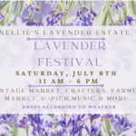 lavender-festival