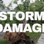 storm-damage-150x150735092-1