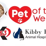 pet-of-the-week