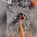 fb_hiker_805912159-150x150143101-1