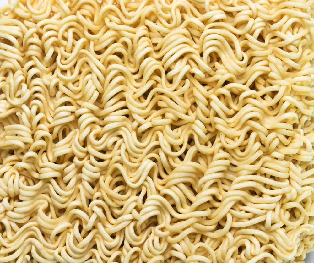 giant shell noodles