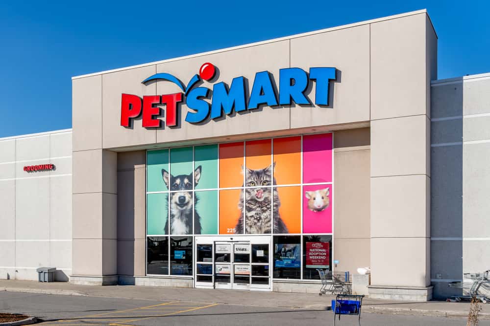Camel Takes Stroll Through Michigan PetSmart Store 951 WAYV