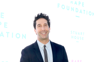 U.K. Judge Sentences David Schwimmer Lookalike to 9 Months in Jail U.K. Judge Sentences David Schwimmer Lookalike to 9 Months in Jail