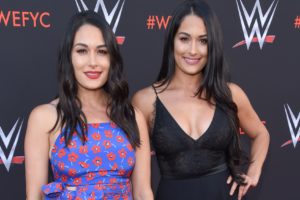 Nikki Bella Gives Birth To First Baby Just One Day Before Twin Sister Brie Bella Gives Birth To Her Second Child Nikki Bella Gives Birth To First Baby Just One Day Before Twin Sister Brie Bella Gives Birth To Her Second Child