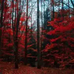 pexels-photo-1547813-2