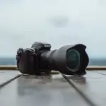 b dfgdfzbxvvxcvcv