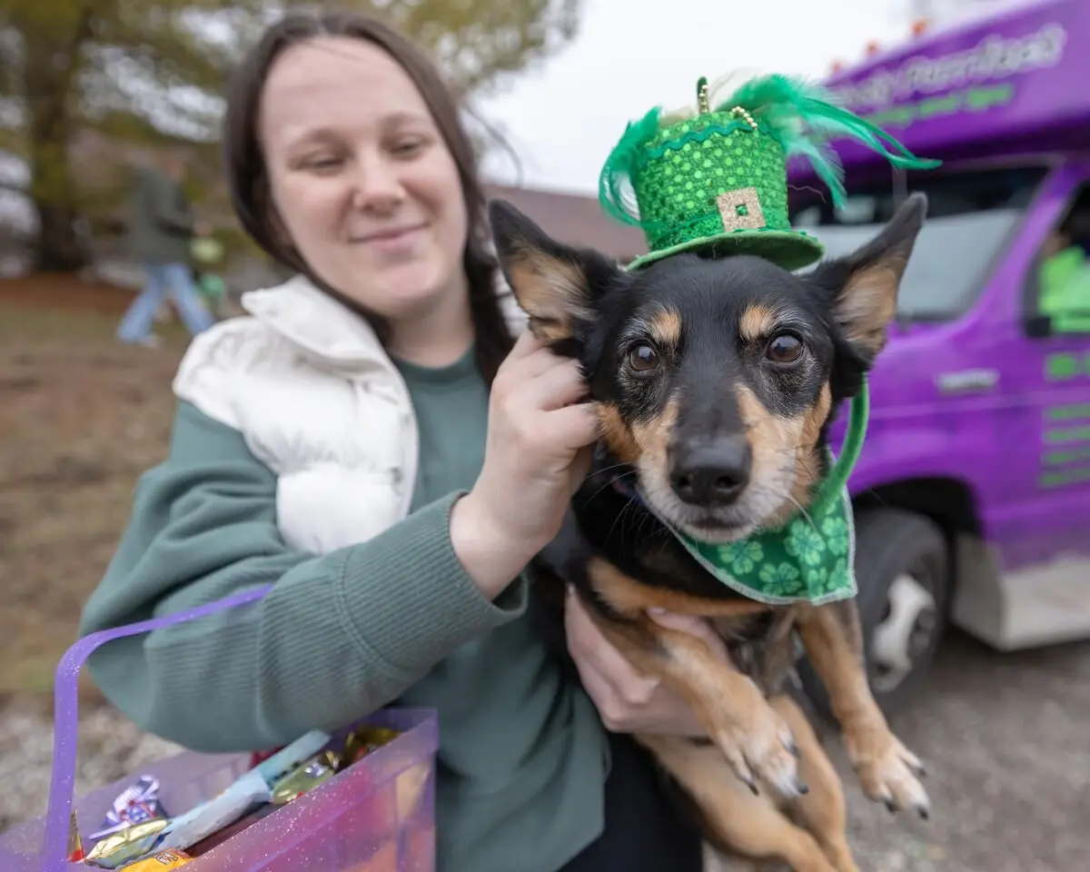 onsud5rquvb4flwq73nymvky3q790954