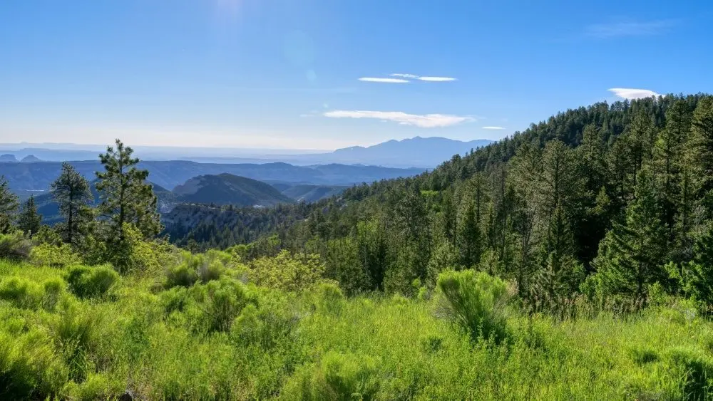 Larb Hollow Overlook along Utah Scenic Byway 12 near Torrey^ Utah