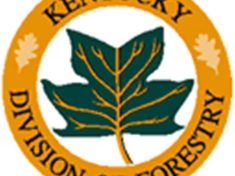 ky_forestry