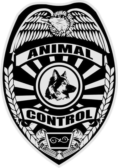 animal-control-q95fm