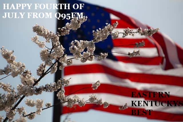 american-flag-flower-july-4th-1093645