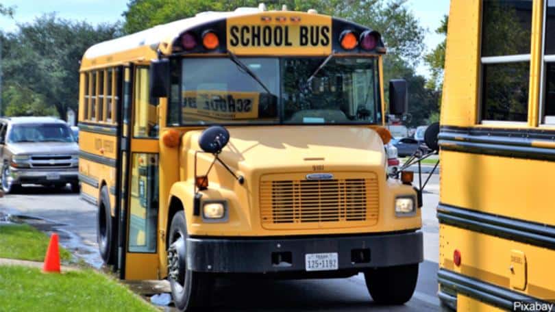 schoolbus10