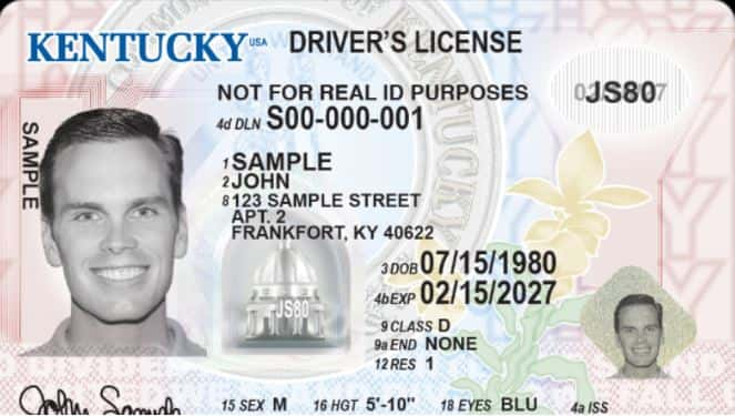 kydriverslicenseexample