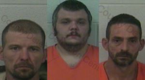 organizedcrimearrestknoxcounty