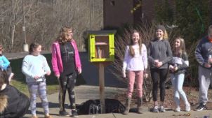 littlefreelibrary