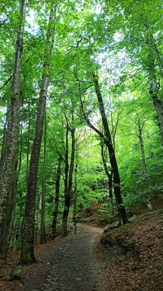 photo-1613466074902-7f587c4cfb53