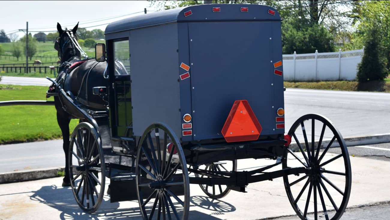 horse-and-buggy