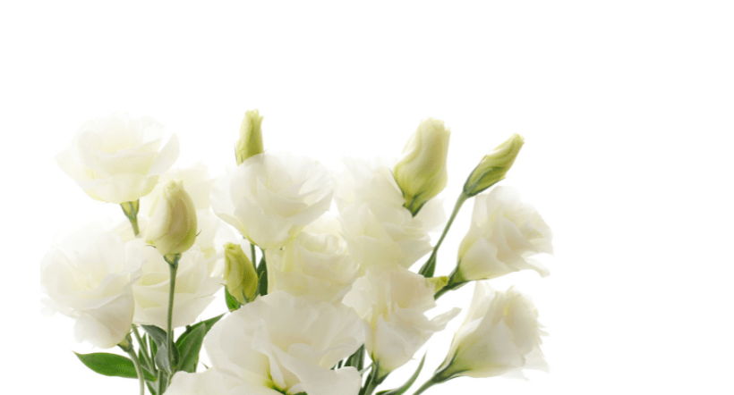 obit-2-jpg-4