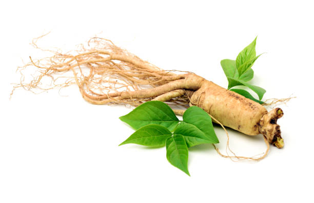 ginseng-isolated-on-white-background