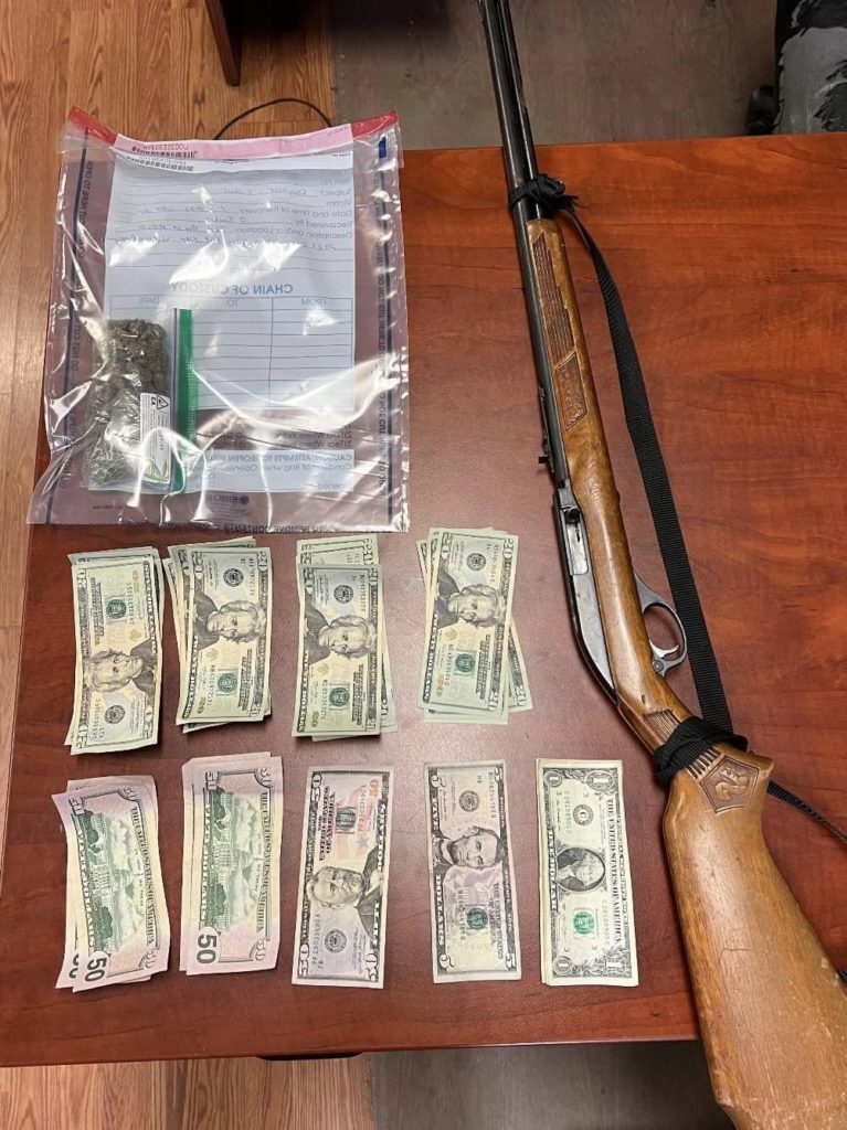 Mingo County Man Arrested For DUI, Drug Possession And Other Charges - Vimarsana News