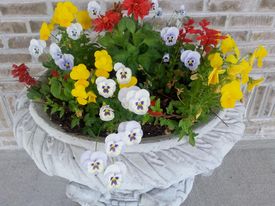 flower-pots